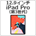 12.9C`iPad Proi3)