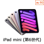 iPad mini (6)