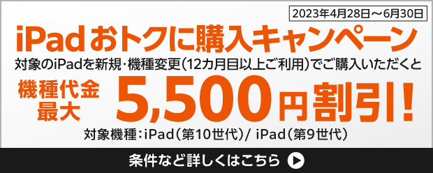 iPadおトクに購入キャンペーン