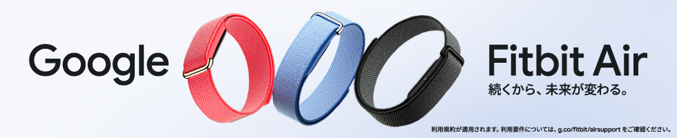 Google Fitbit Air