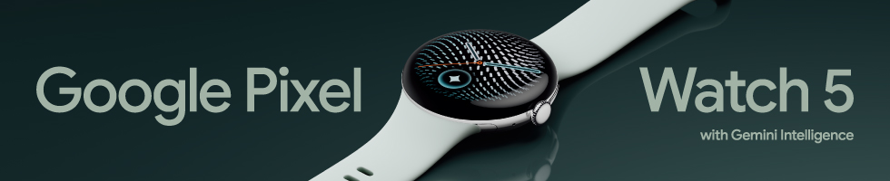 Google Pixel Watch5 ���w���͂�����