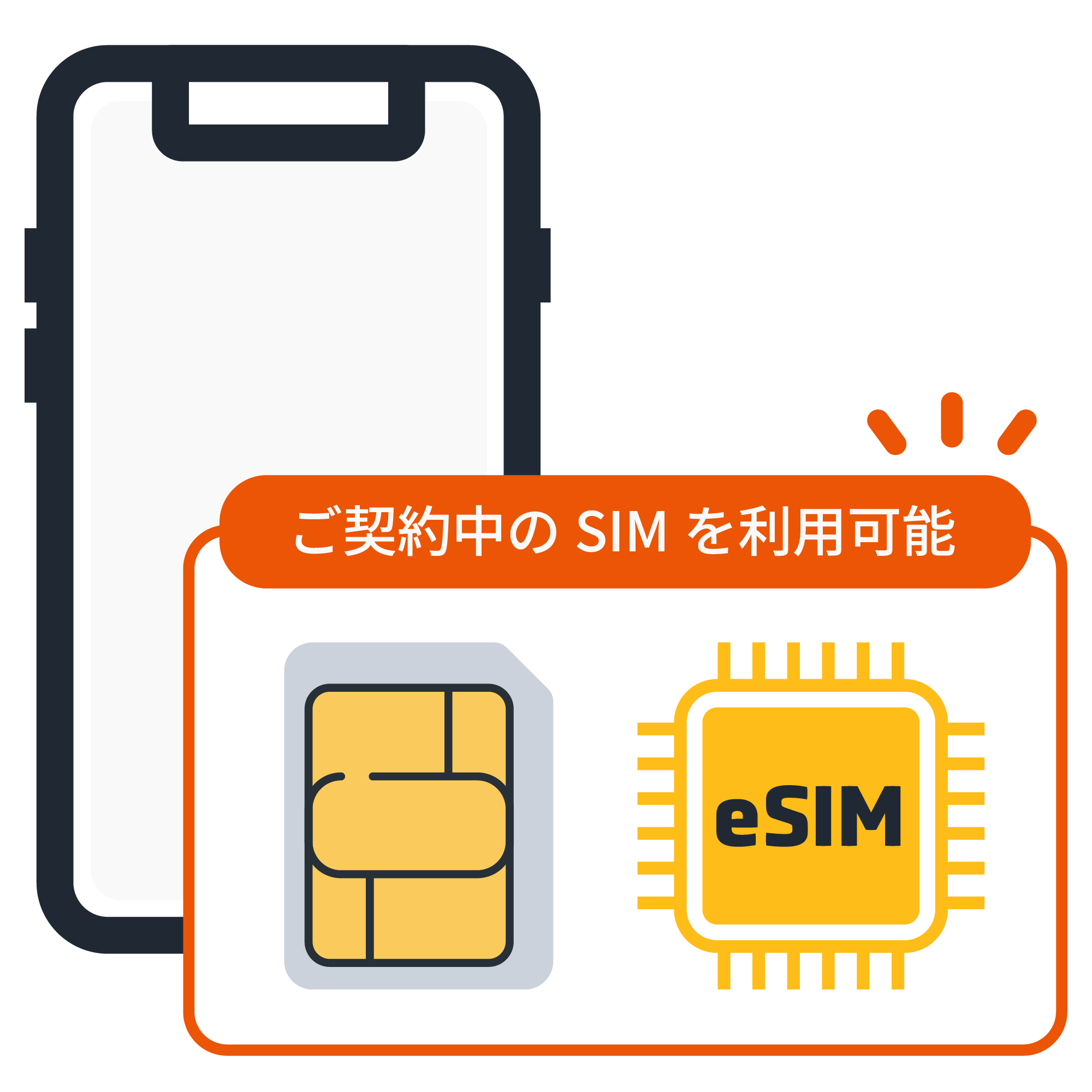 ����SIM�EeSIM���p�\