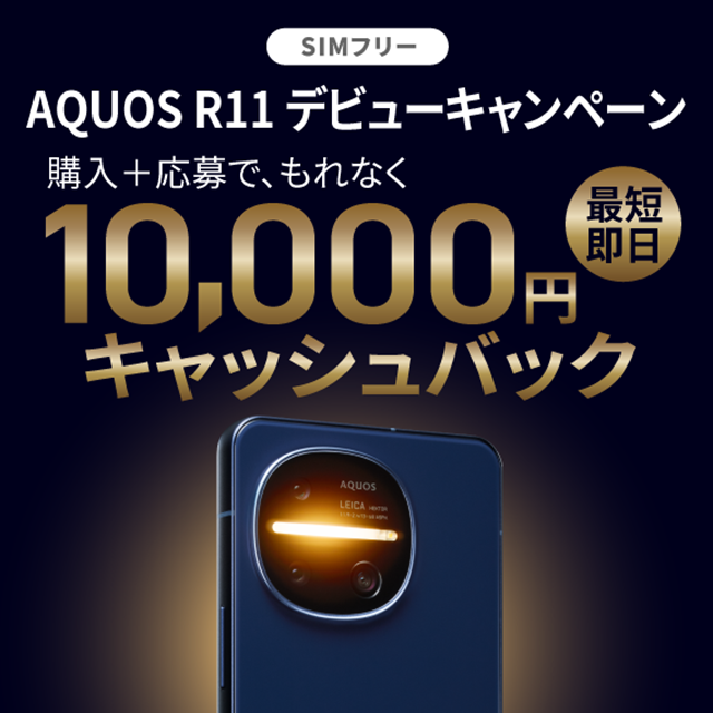 AQUOS R11 �f�r���[�L�����y�[���@���w���͂�����