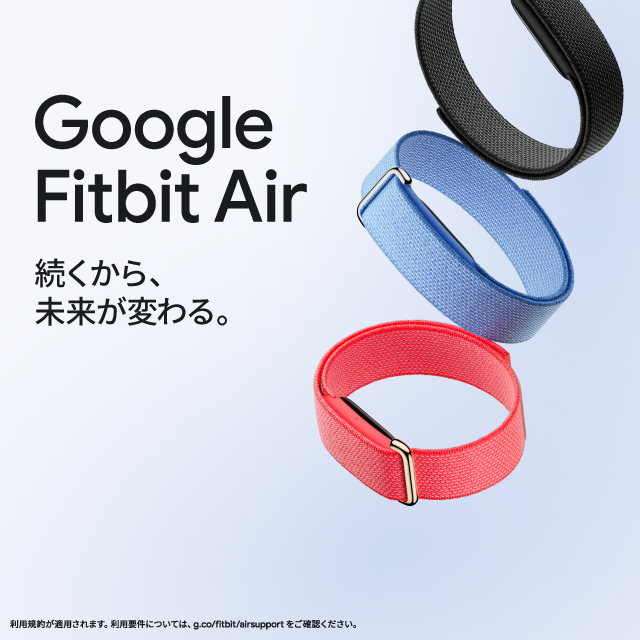 Google Fitbit Air