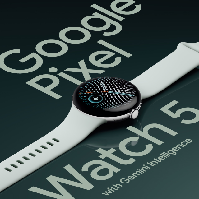 Google Pixel Watch5 ���w���͂�����