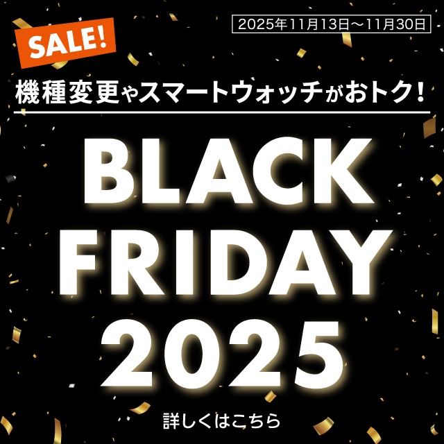 @ύXX}[gEHb`gN!BLACK FRIDAY 2025 ڂ͂