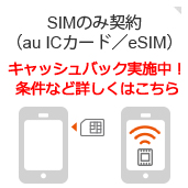 SIMのみ契約（au ICカード/eSIM）