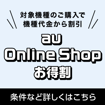 Ώۋ@̂wŋ@犄@au Online Shop@ȂǏڂ͂