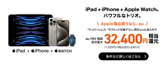 Apple Watch Series 9- 45mmシルバーステンレススチールケースと