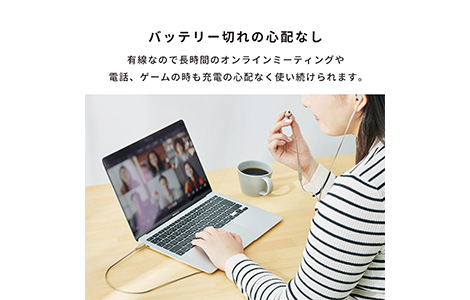 iFace �}�C�N�t�� ���C���[�h�C���z��(USB-C)�^�z���C�g