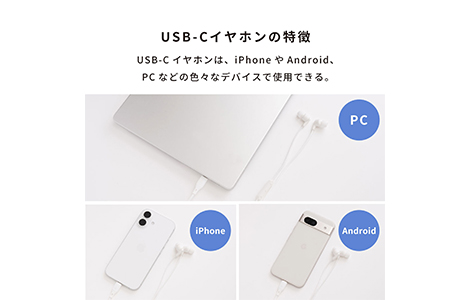 iFace �}�C�N�t�� ���C���[�h�C���z��(USB-C)�^�z���C�g