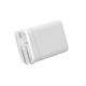 CPSpeed Fast PowerCharger 65W(3�|�[�g)
