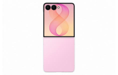 Samsung Galaxy Z Flip8 Clear Case/Clear