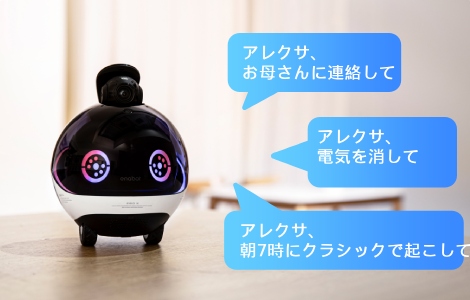 Family Companion Robot EBO X – Oz Robotics