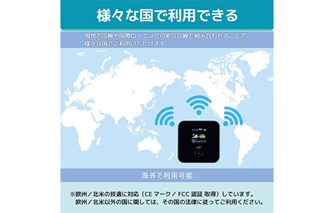 �x�m�\�t�g �SG���o�C�����[�^�[ eSIM�Ή� +F FS045W