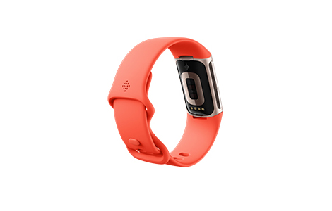 Fitbit Charge 6 Coral / Champagne Gold A~jE