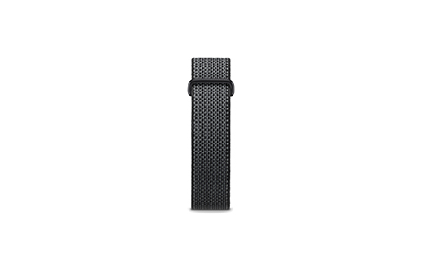 Google Fitbit Air