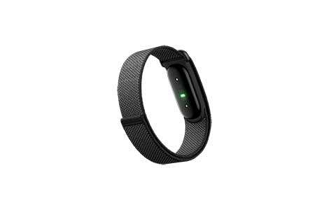 Google Fitbit Air