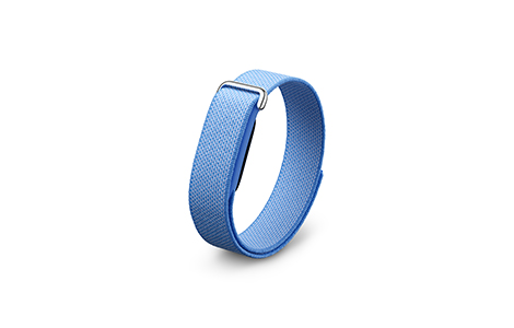 Google Fitbit Air