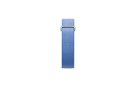 Google Fitbit Air