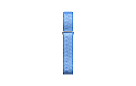 Google Fitbit Air