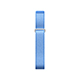 Google Fitbit Air