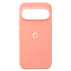 Google Pixel 11 Pro �p Google Pixelsnap �Ή��P�[�X Canyon