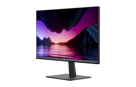 yauzSKYWORTH 23.8 Inch Monitor(H24PF10)