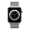 yAEgbg(qlsԕis)zApple Watch Series 6 - 40mmVo[XeXX`[P[XƃVo[~l[[[v