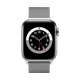 yAEgbg(qlsԕis)zApple Watch Series 6 - 40mmVo[XeXX`[P[XƃVo[~l[[[v