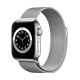 yAEgbg(qlsԕis)zApple Watch Series 6 - 40mmVo[XeXX`[P[XƃVo[~l[[[v