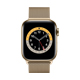 yAEgbg(qlsԕis)zApple Watch Series 6 - 40mmS[hXeXX`[P[XƃS[h~l[[[v