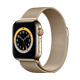 yAEgbg(qlsԕis)zApple Watch Series 6 - 40mmS[hXeXX`[P[XƃS[h~l[[[v