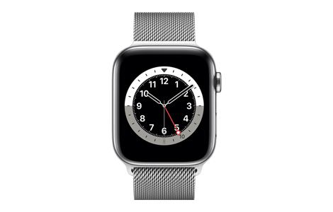 yAEgbg(qlsԕis)zApple Watch Series 6 - 44mmVo[XeXX`[P[XƃVo[~l[[[v