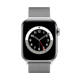 yAEgbg(qlsԕis)zApple Watch Series 6 - 44mmVo[XeXX`[P[XƃVo[~l[[[v