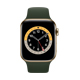 yAEgbg(qlsԕis)zApple Watch Series 6 - 44mmS[hXeXX`[P[XƃLvXO[X|[coh