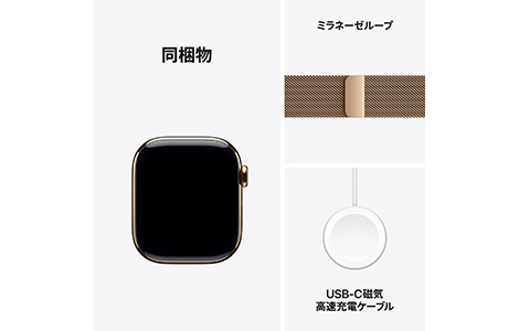 Apple Watch Series 11