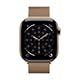 Apple Watch Series 11