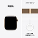 Apple Watch Series 11
