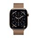 Apple Watch Series 11