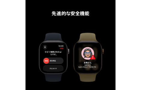 Apple Watch Series 12