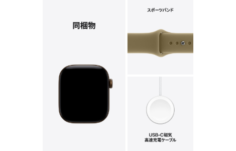 Apple Watch Series 12
