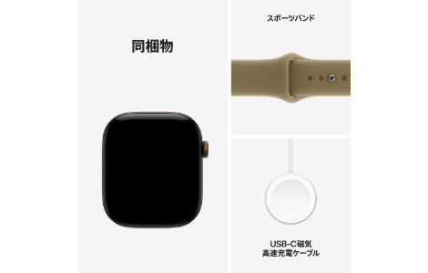 Apple Watch Series 12