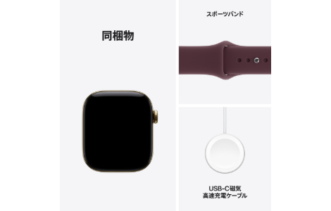 Apple Watch Series 12