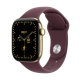 Apple Watch Series 12