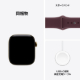 Apple Watch Series 12