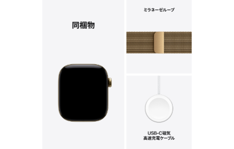 Apple Watch Series 12
