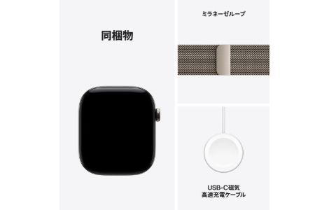 Apple Watch Series 12