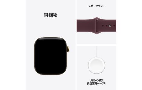 Apple Watch Series 12