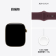 Apple Watch Series 12